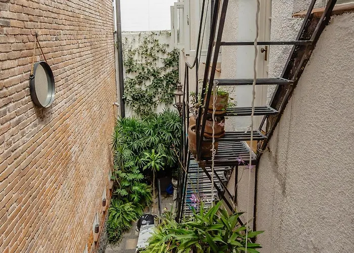Casa Chapulin-mexican Eclectic In Roma Norte