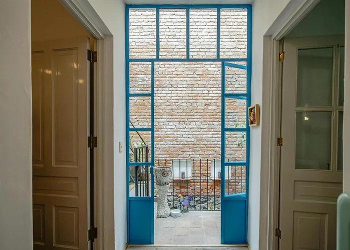 Casa Chapulin-mexican Eclectic In Roma Norte *