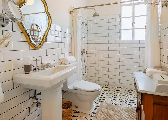 Casa Chapulin-mexican Eclectic In Roma Norte *