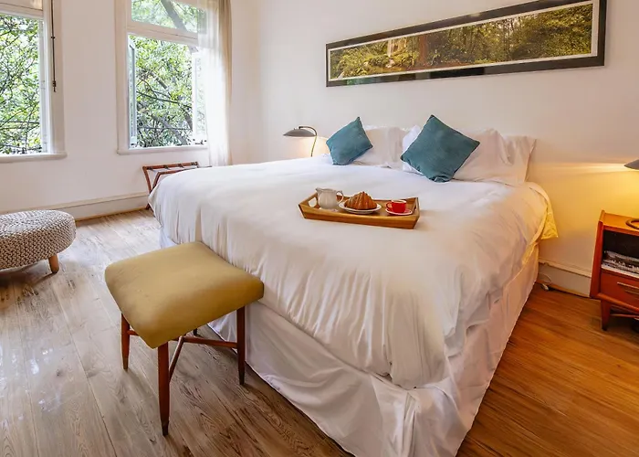 Casa Chapulin-mexican Eclectic In Roma Norte