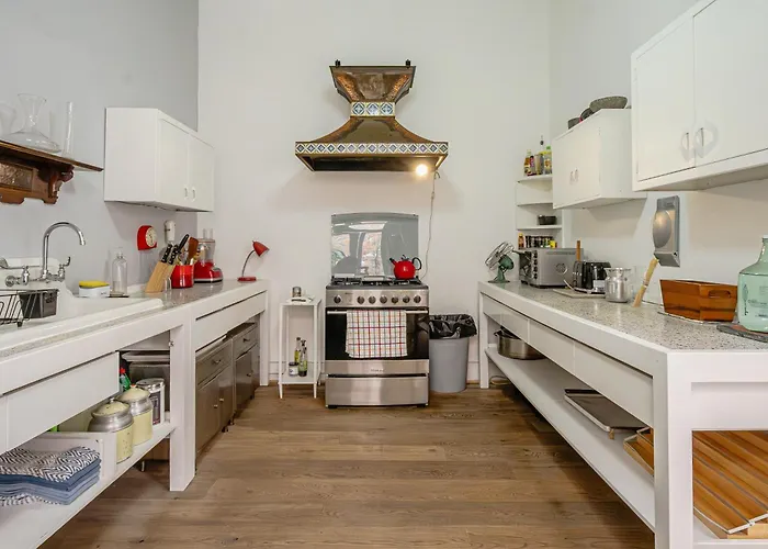 Villa Casa Chapulin-mexican Eclectic In Roma Norte